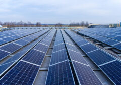 Solar energy panels installed in straight long rows. Agricultural field at the background.